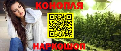 spice Коммунар