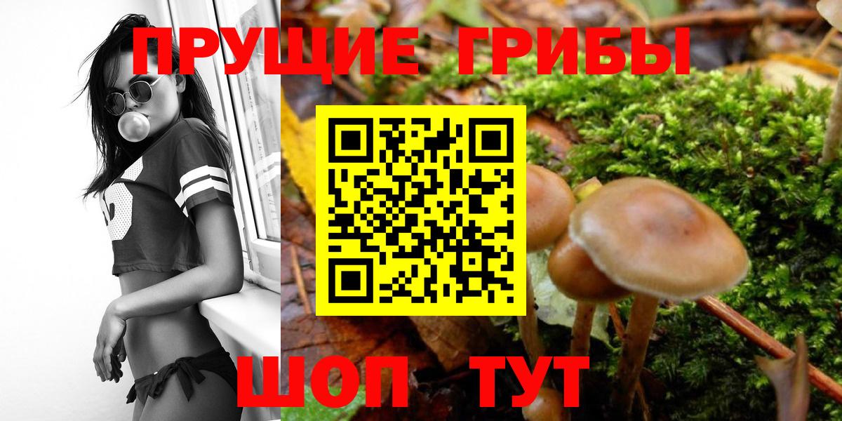 Псилоцибиновые грибы Magic Shrooms  Псилоцибиновые грибы Magic Shrooms  Киров  Вход с VPN 