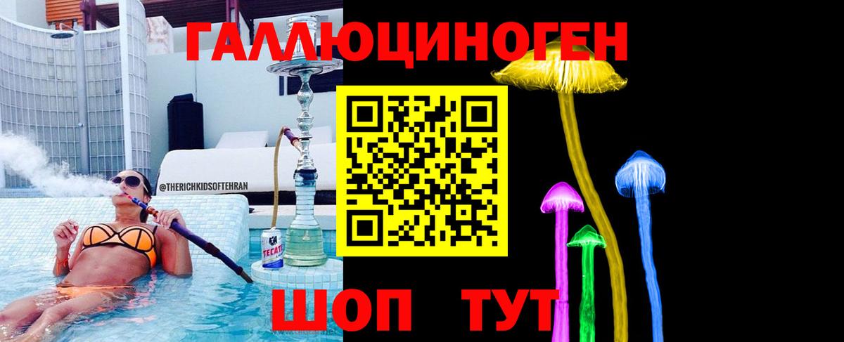 Псилоцибиновые грибы Psilocybe Киров
