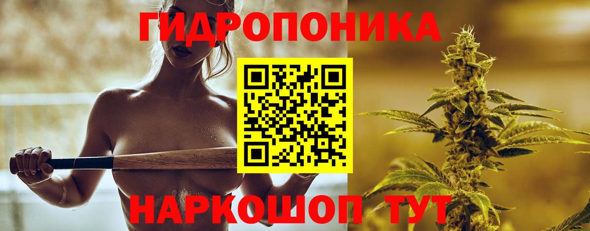 Бошки Шишки Amnesia  Вход с VPN  МАРИХУАНА AK-47  МАРИХУАНА план  Киров  МАРИХУАНА Amnesia 